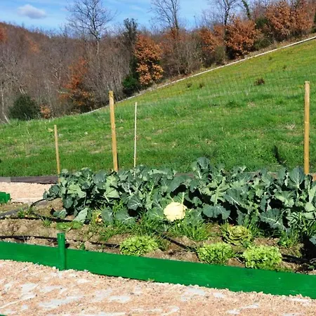 Montecristo Villa Marsiliana