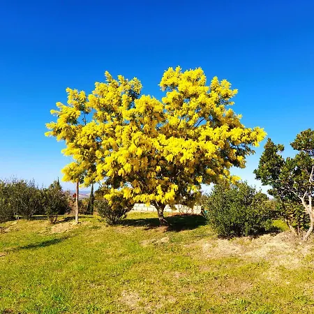Villa Montecristo Marsiliana