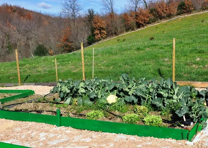 Montecristo Villa Marsiliana